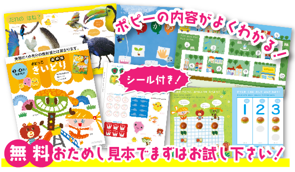 幼児ポピーきいどりおためし見本