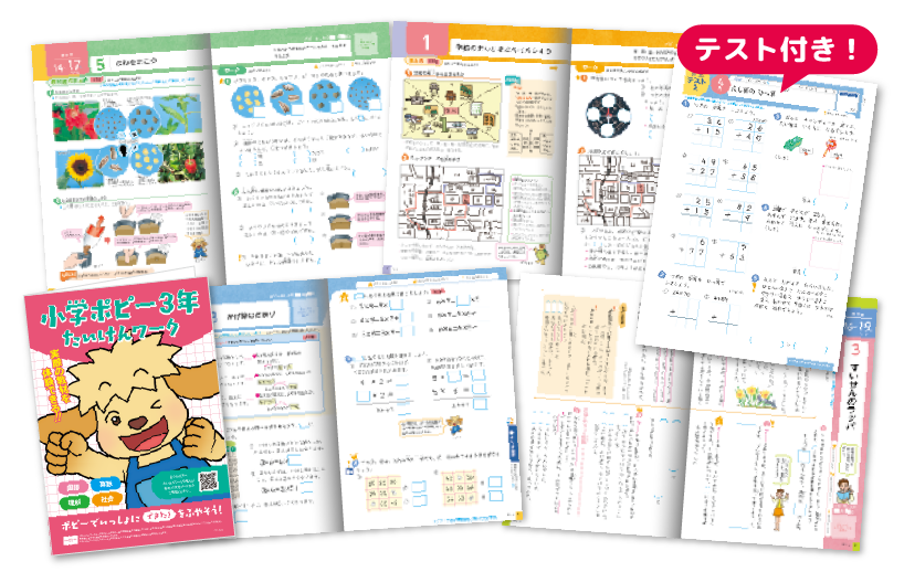 小学ポピー3年生おためし見本