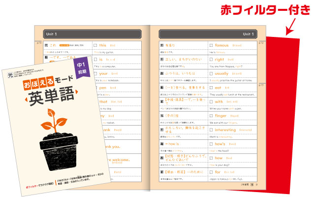 パステム 中学生向け家庭学習 教材セット