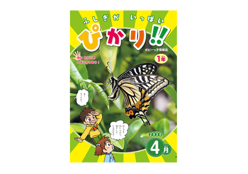 ふしぎがいっぱい ぴかり!!