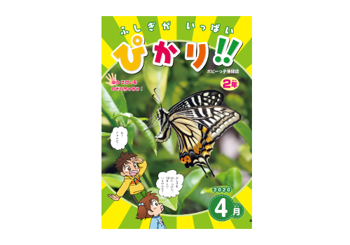 ふしぎがいっぱい ぴかり!!