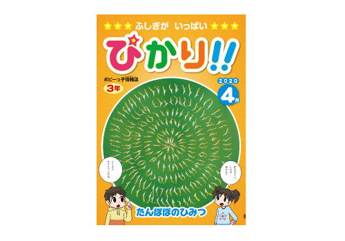 小学ポピー3年生のお届け教材 小学生のための家庭学習教材 小学ポピー 公式