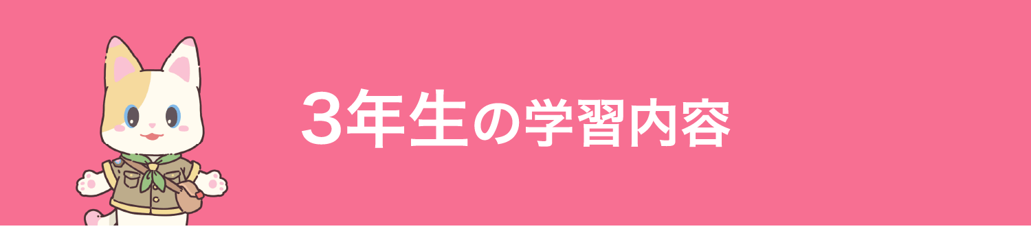 3年生の学習内容