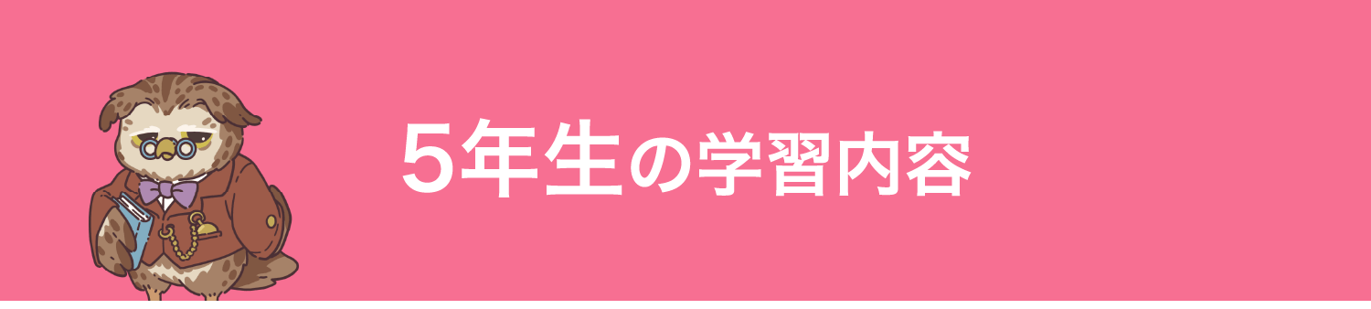 5年生の学習内容