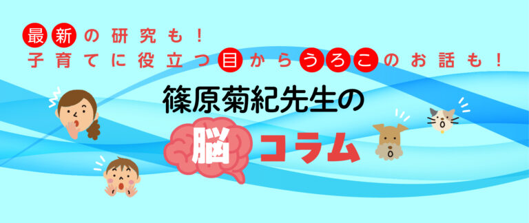 ➀ワーキングメモリが知的能力の基礎 ＜勉強に効く脳コラム10選 
