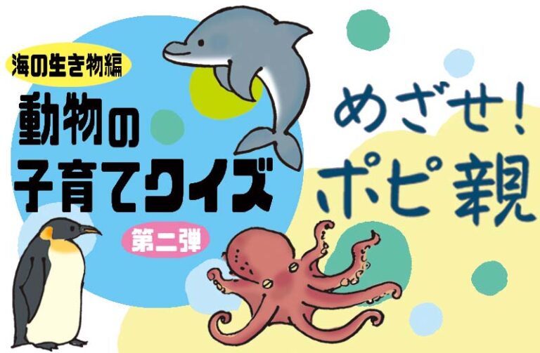 動物の子育てクイズ第二弾　海の生き物