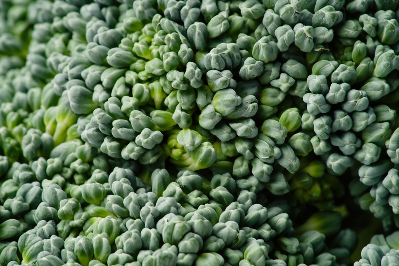 虫めがねで観察あそび
虫めがねで何を見る
虫めがねで自由研究
虫めがねの扱い方と注意点
虫めがねで見たこれなーんだ