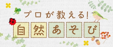 プロが教える自然あそび