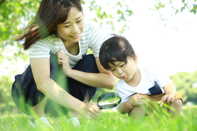 虫めがねで観察あそび
虫めがねで何を見る
虫めがねで自由研究
虫めがねの扱い方と注意点
虫めがねで見たこれなーんだ