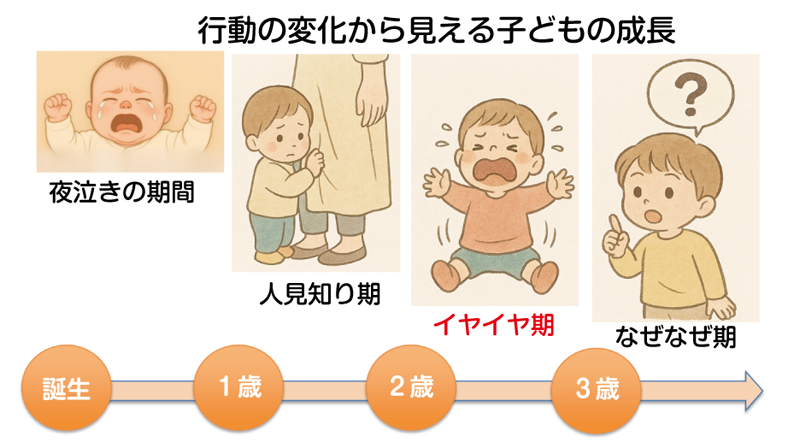 イヤイヤ期、どう向き合う？
イヤイヤ期ってどんな時期
イヤイヤ期の特徴
イヤイヤ期の対策
イヤイヤ期は成長の証
