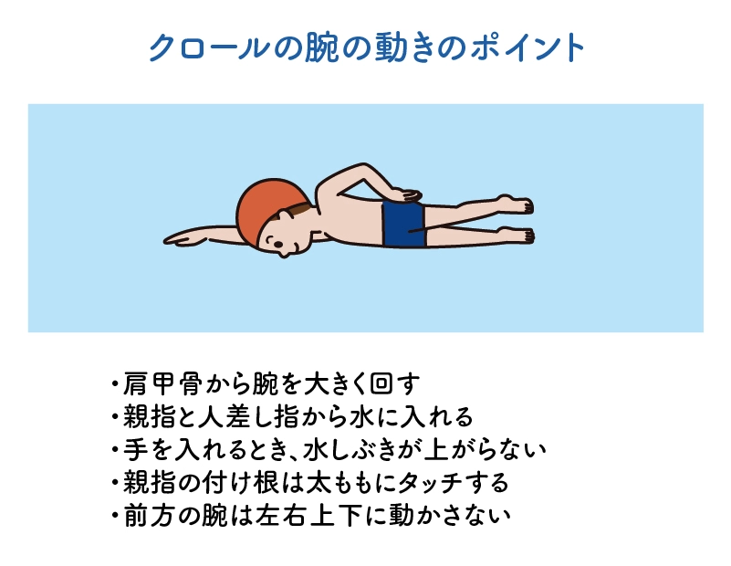 クロール 水泳 教え方