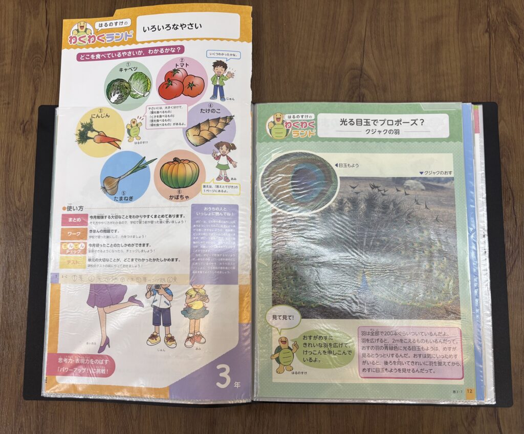 ポピー使い方
