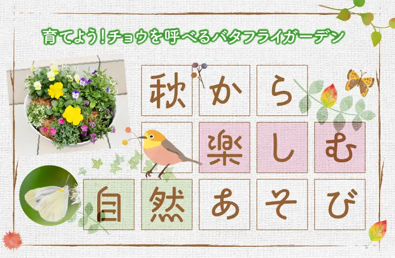 プロが教える秋の自然あそび!「バタフライガーデン」を作ろう