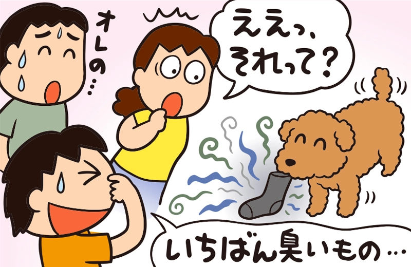 夏休みの過ごし方 自由研究 家の中のいちばんを探そう