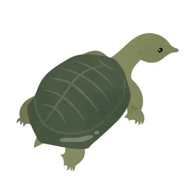 ひょうしクイズの こたえ