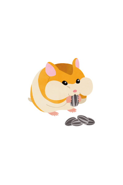 ひょうしクイズの こたえ