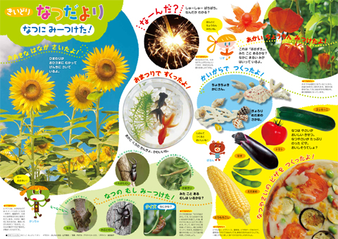 画像：2. 特別教材