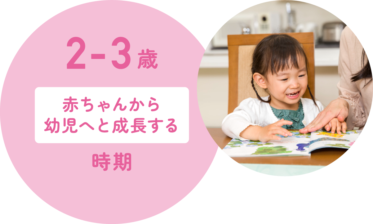 2～3歳赤ちゃんから幼児へと成長する時期